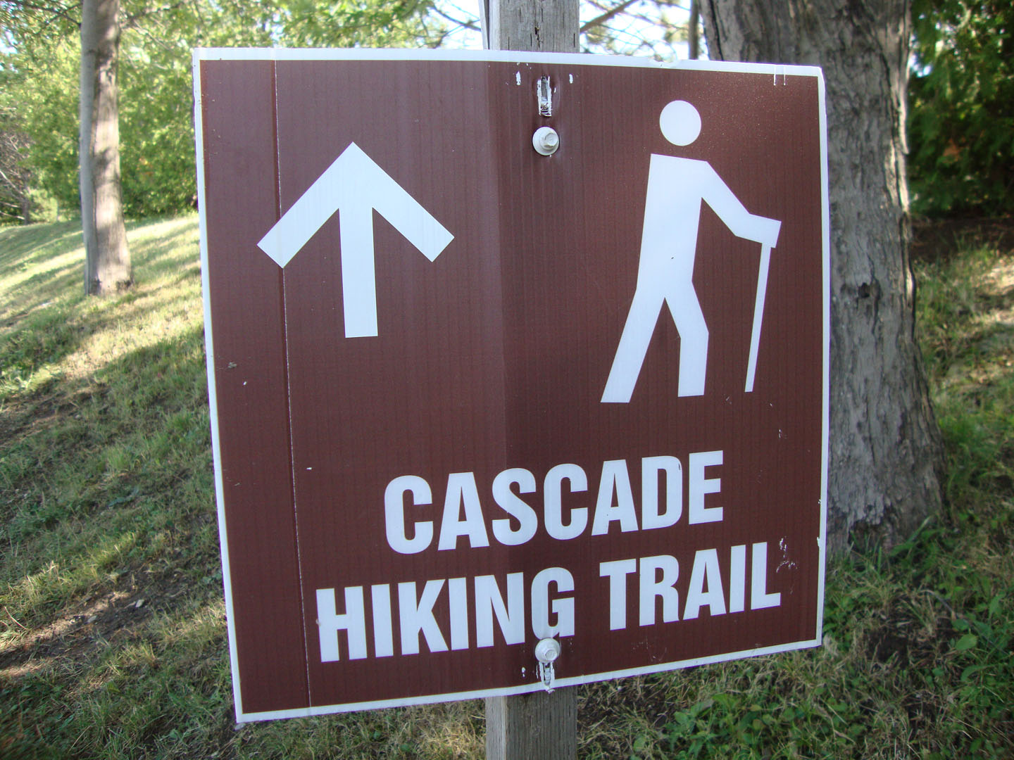 A Clean Mountain Lake