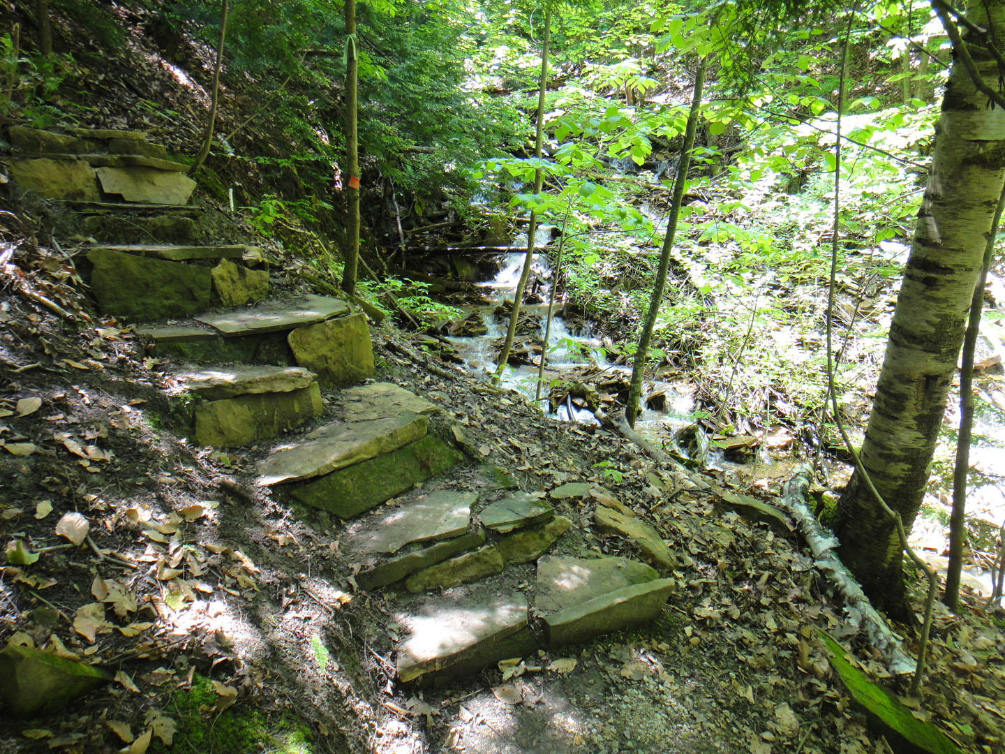 A Clean Mountain Lake